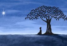 Tìm về cái gốc của trading (P1)