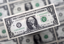 Tỷ giá USD hôm nay (20-11): Đồng USD giữ xu hướng tăng